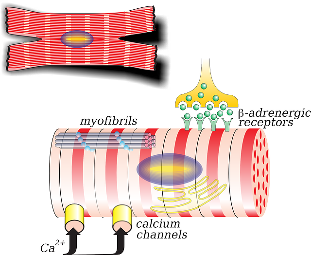 You are currently viewing ശക്തമായതും വൈവിധ്യമാർന്നതുമായ ഡാറ്റയുടെ അഭാവം ഇന്ത്യയിൽ മസ്തിഷ്ക സ്ട്രോക്കുകൾ കൈകാര്യം ചെയ്യുന്നതിൽ ഒരു തടസ്സമാണ്