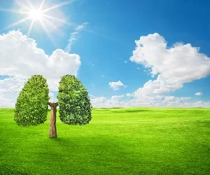 Read more about the article 2019 ന് ശേഷമുള്ള ഏറ്റവും ശുദ്ധമായ വായു ഈ ജനുവരിയിൽ മുംബൈക്കാർ ശ്വസിച്ചു: വിശകലനം