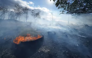 Read more about the article കാട്ടുതീ തടയാൻ ആർട്ടിഫിഷ്യൽ ഇന്റലിജൻസ് ഹവായിയെ സഹായിക്കുമോ?